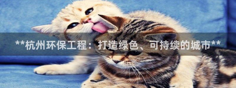 彩名堂预测：**杭州环保工程：打造绿