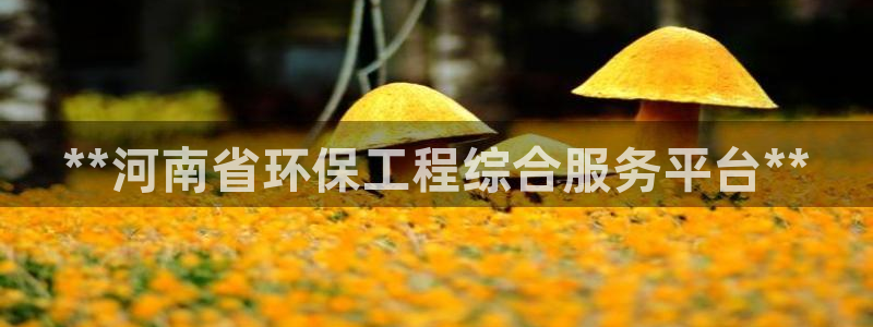 彩名堂是什么：**河南省环保工程综合