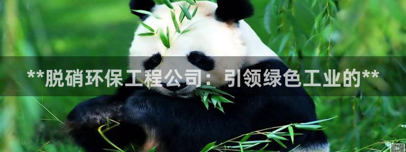 彩名堂5.0计划：**脱硝环保工程公司：引领绿色工业的**