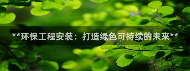 彩名堂的拼音：**环保工程安装：打造