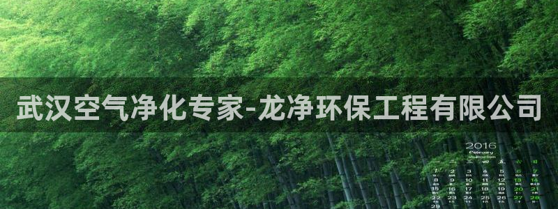 彩名堂01计划：武汉空气净化专家-龙