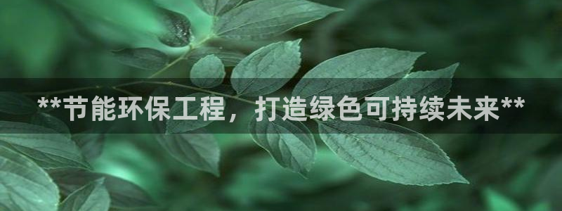 彩名堂图片：**节能环保工程，打造绿色可持续未来**