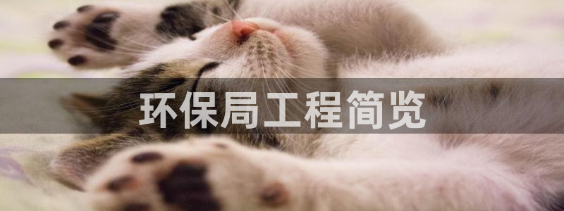 彩名堂使用方法和用量：环保局工程简览