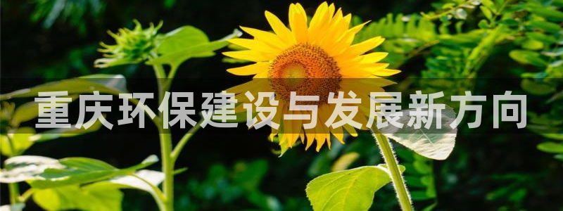 彩名堂客户端是永久免费吗是真的吗知乎