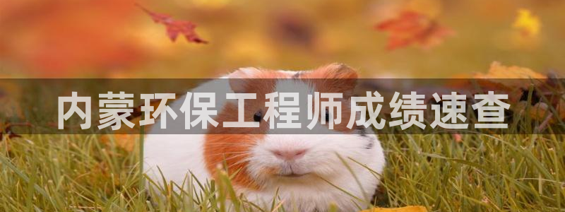 彩名堂怎么用不输：内蒙环保工程师成绩