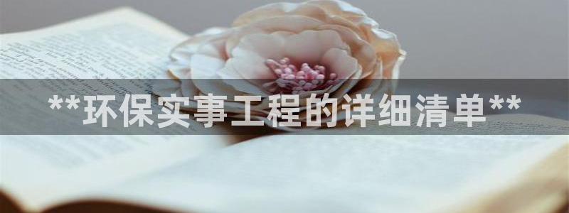 彩名堂彩：**环保实事工程的详细清单**