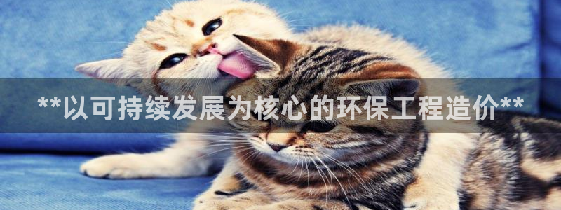 彩名堂怎么样：**以可持续发展为核心的环保工程造价**