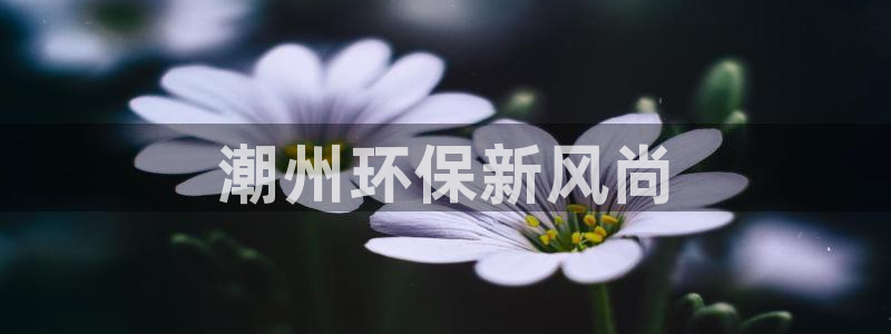 彩名堂手机客户端：潮州环保新风尚