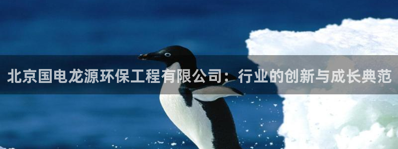 正规彩名堂官网计划01：北京国电龙源