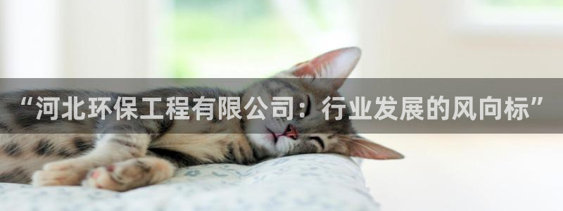 彩名堂幸运飞船计划：“河北环保工程有限公司：行业发展的风向标
