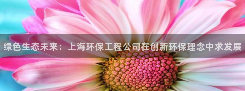 彩名堂预测：绿色生态未来：上海环保工程公司在创新环保理念中求