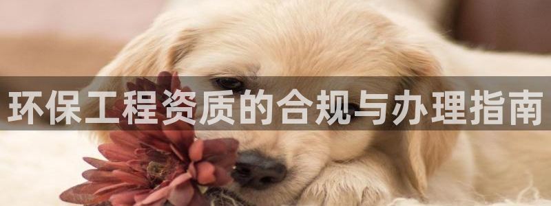 彩名堂是不是坑人的东西：环保工程资质