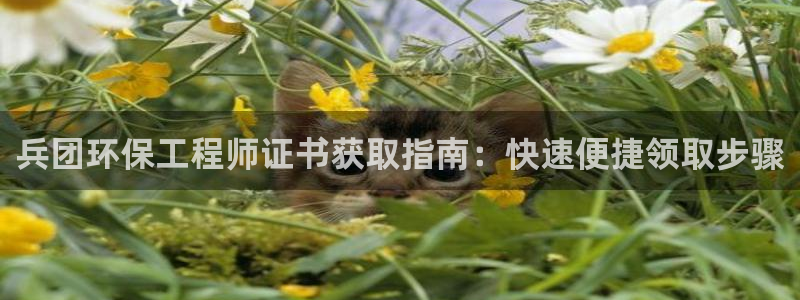 彩名堂官方下载地址：兵团环保工程师证书获取指南：快速便捷领取