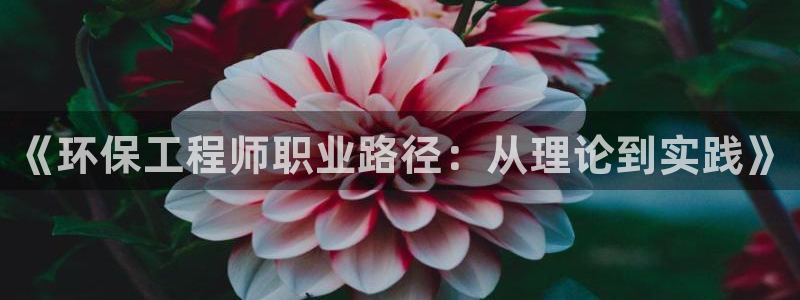 彩名堂是不是坑人的：《环保工程师职业路径：从理论到实践》