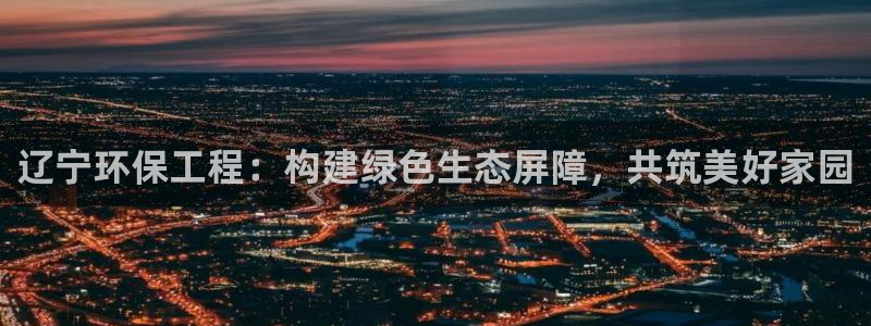 彩名堂客户端加拿大：辽宁环保工程：构