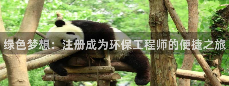 cmt彩名堂：绿色梦想：注册成为环保工程师的便捷之旅