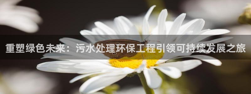 彩名堂怎么样：重塑绿色未来：污水处理环保工程引领可持续发展之