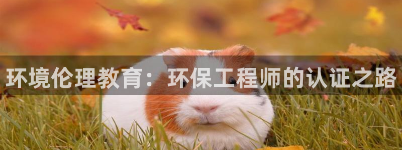 彩名堂5.0!：环境伦理教育：环保工程师的认证之路