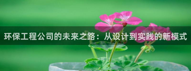 彩名堂怎么不能用了：环保工程公司的未来之路：从设计到实践的新