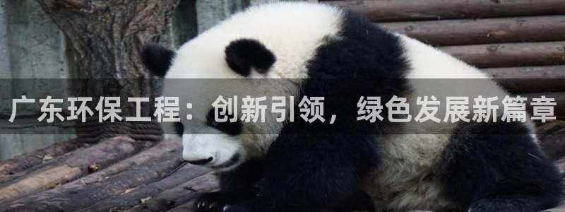 彩名堂免费计划官网怎么进不去了：广东环保工程：创新引领，绿色