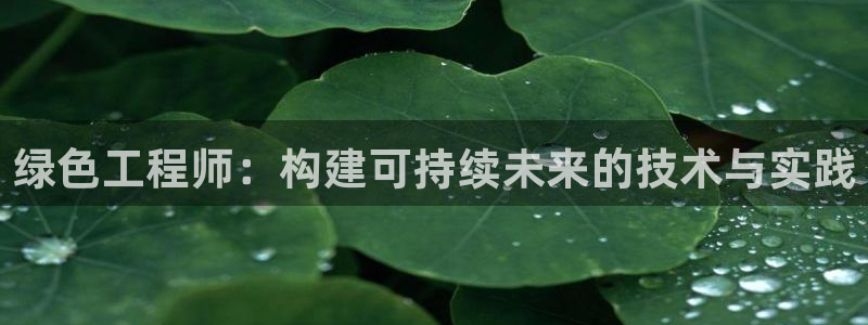 彩名堂二维码：绿色工程师：构建可持续