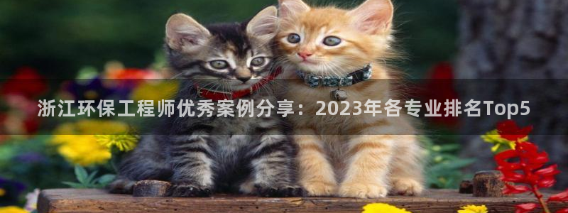 彩名堂APP下载：浙江环保工程师优秀