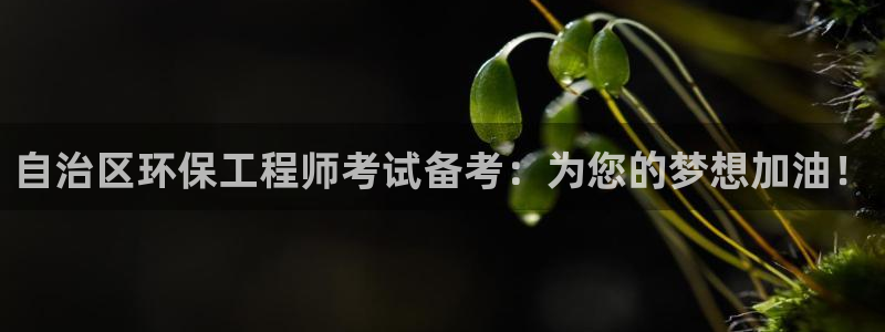 彩名堂计划怎么打不开了：自治区环保工程师考试备考：为您的梦想加油！
