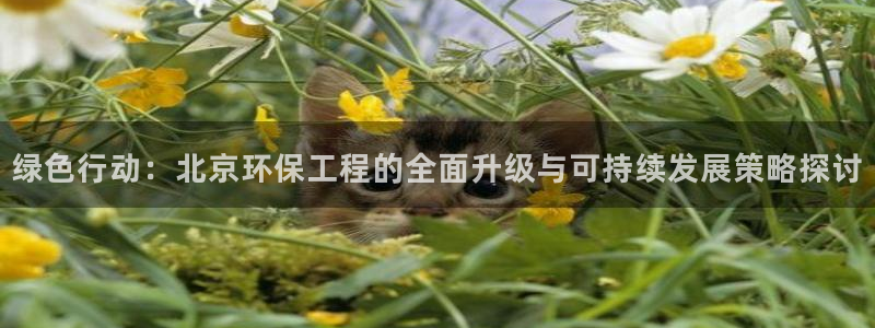 彩名堂使用方法：绿色行动：北京环保工