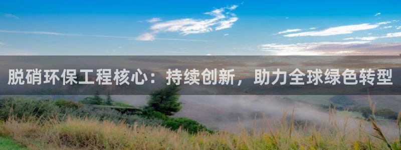 彩名堂app官网：脱硝环保工程核心：