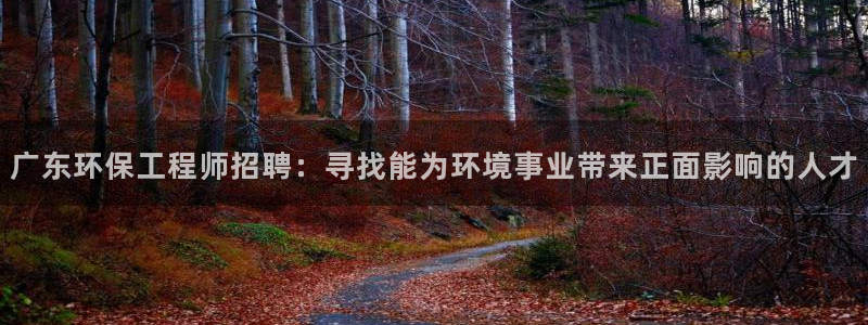 彩名堂使用方法：广东环保工程师招聘：寻找能为环境事业带来正面