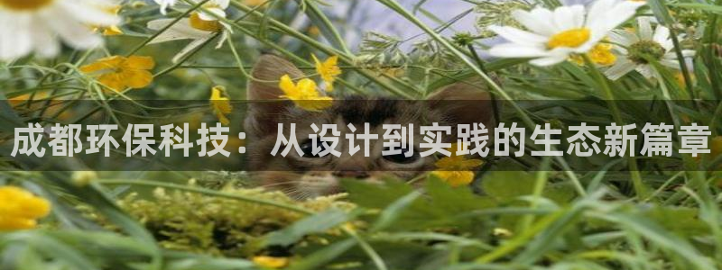 彩名堂免费计划官网50：成都环保科技：从设计到实践的生态新篇