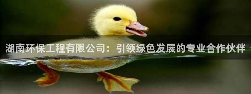 彩名堂人工预测免费计划：湖南环保工程