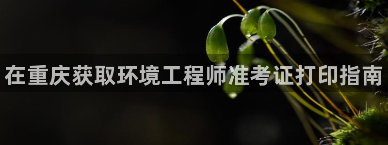 彩名堂.apk：在重庆获取环境工程师