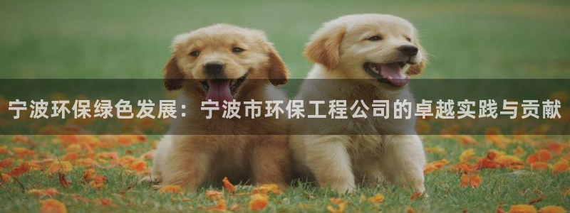 彩名堂免费计划使用方法是什么：宁波环保绿色发展：宁波市环保工