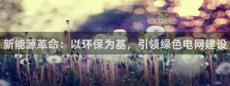 彩名堂计划和01计划怎么很稳：新能源