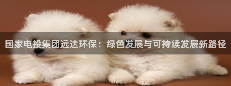 彩名堂计划怎么跟不挂：国家电投集团远