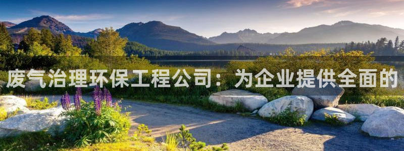 彩名堂手机客户端怎么下载：废气治理环保工程公司：为企业提供全