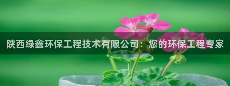 彩名堂：陕西绿鑫环保工程技术有限公司：您的环保工程专家