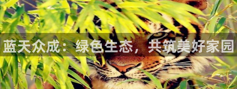 彩名堂app下载5.1.0：蓝天众成：绿色生态，共筑美好家园