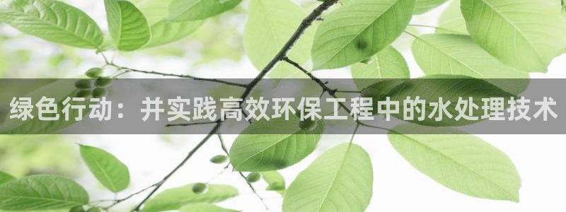 彩名堂免费计划官网5.0.0：绿色行动：并实践高效环保工程中