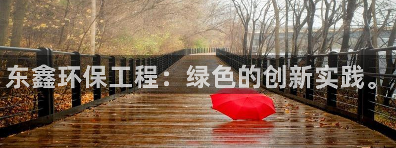 彩名堂客户端加拿大：东鑫环保工程：绿色的创新实践。