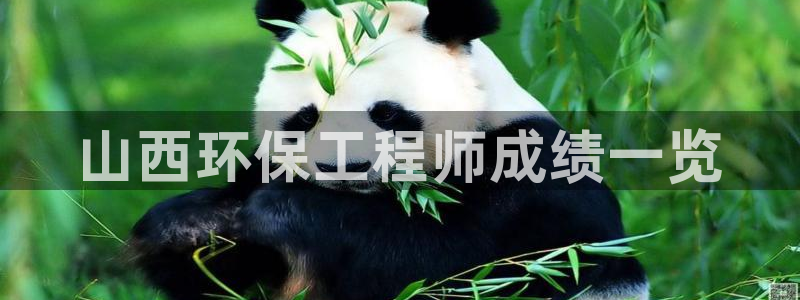 彩名堂怎么不能用了：山西环保工程师成绩一览