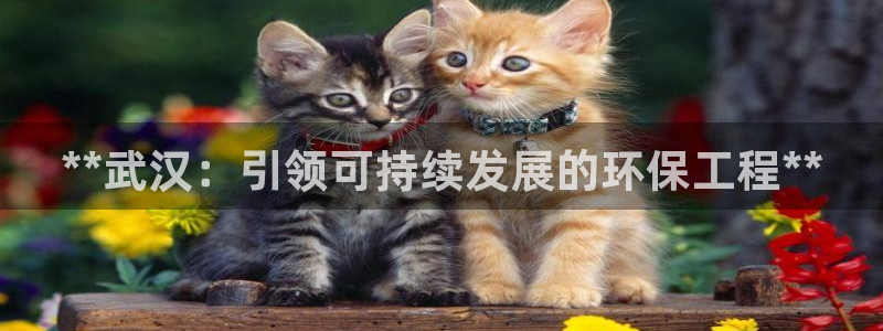 彩名堂计划怎么看：**武汉：引领可持续发展的环保工程**