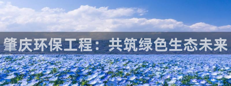 彩名堂安卓客户端官网下载安装：肇庆环保工程：共筑绿色生态未来