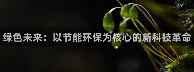 彩名堂计划官方客服：绿色未来：以节能环保为核心的新科技革命