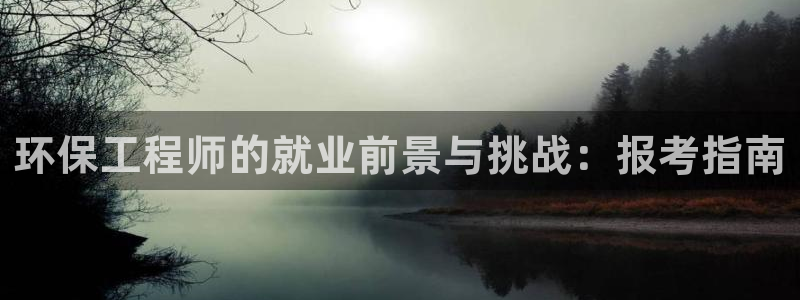 彩名堂为什么打不开：环保工程师的就业前景与挑战：报考指南