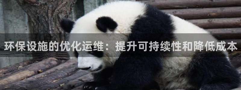 彩名堂是不是坑人的：环保设施的优化运维：提升可持续性和降低成
