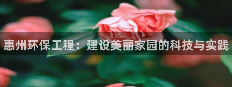 彩名堂预测：惠州环保工程：建设美丽家园的科技与实践