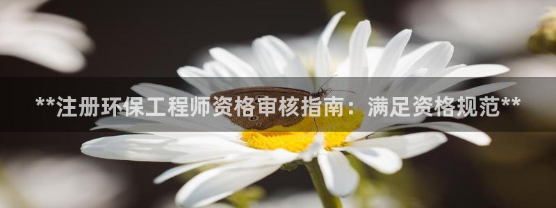 彩名堂使用方法：**注册环保工程师资格审核指南：满足资格规范