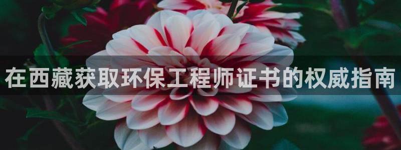 彩名堂计划怎么打不开了：在西藏获取环保工程师证书的权威指南
